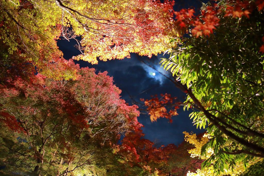 Cottage Pastorale Fujikawaguchiko Exterior foto